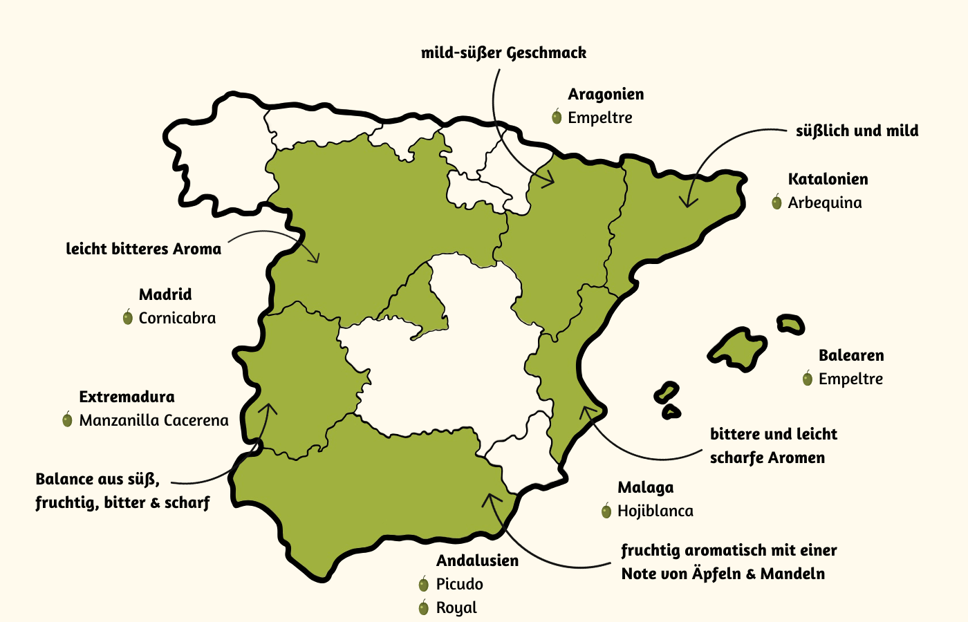 Wo wächst der Olivenbaum in Spanien?