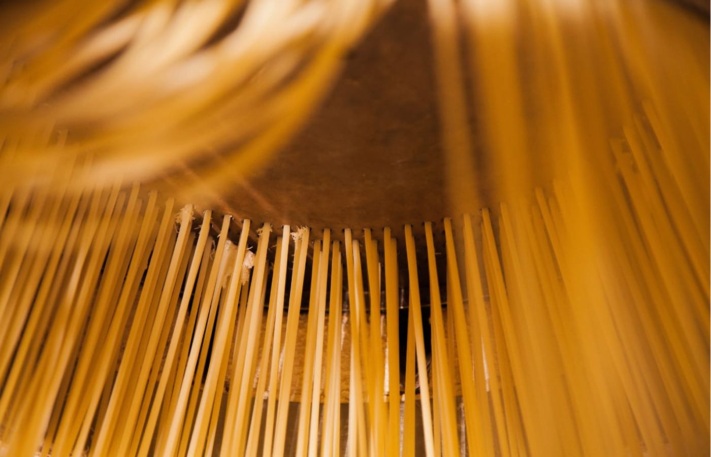 Pasta Mancini Bronzescheiben