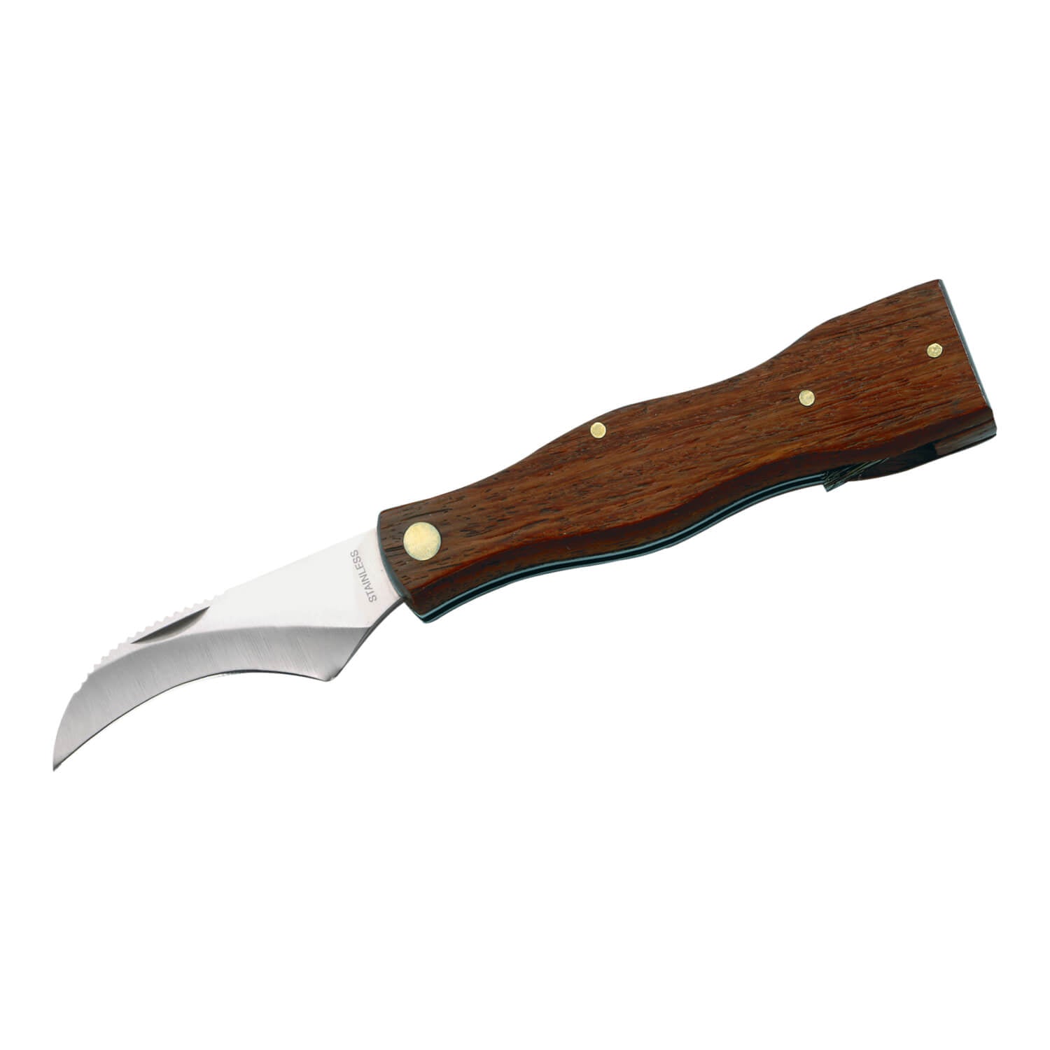 Herbertz Pilzmesser, 7 cm Klinge mit Bürste
