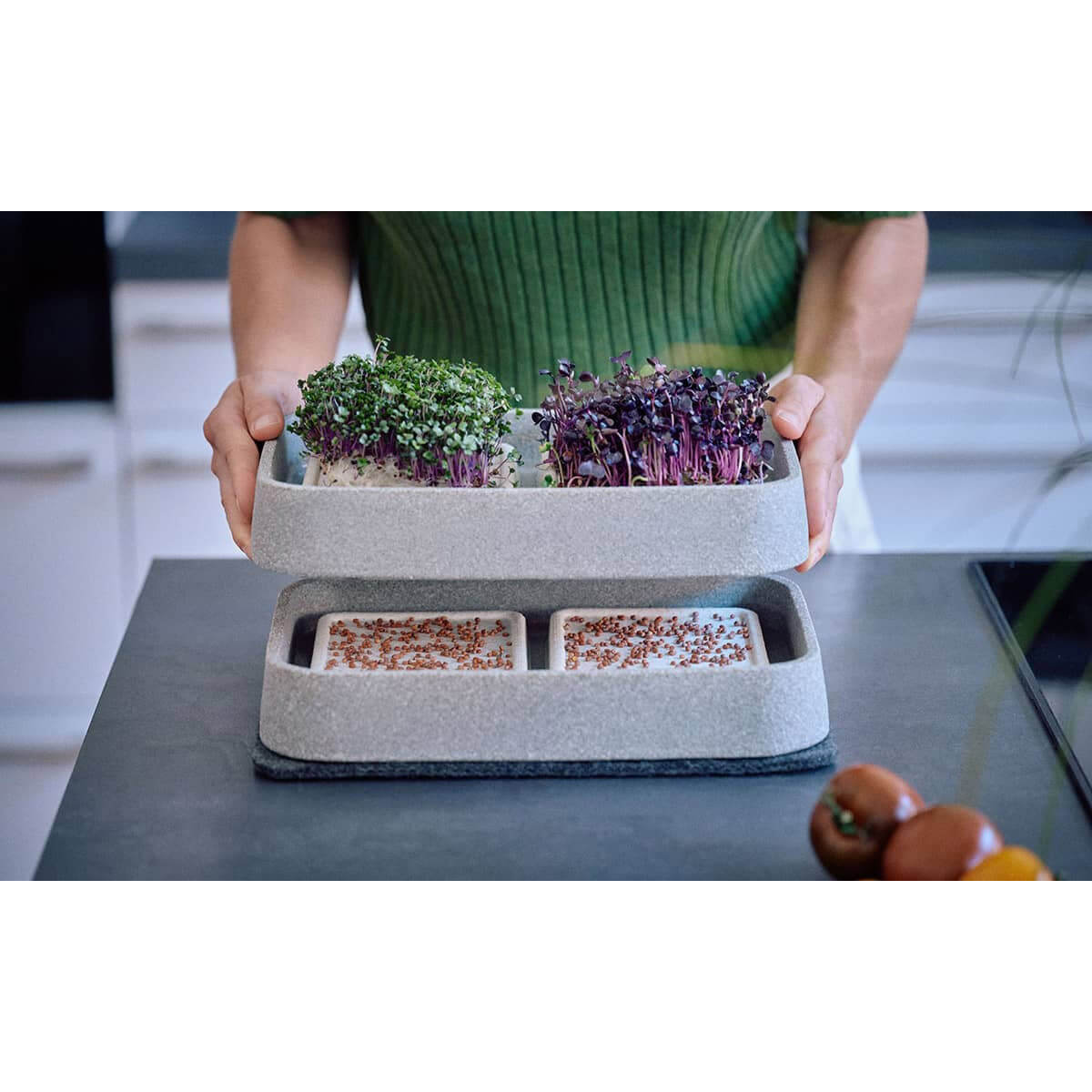 Mikrogarten XL-Set Granicium von Denk