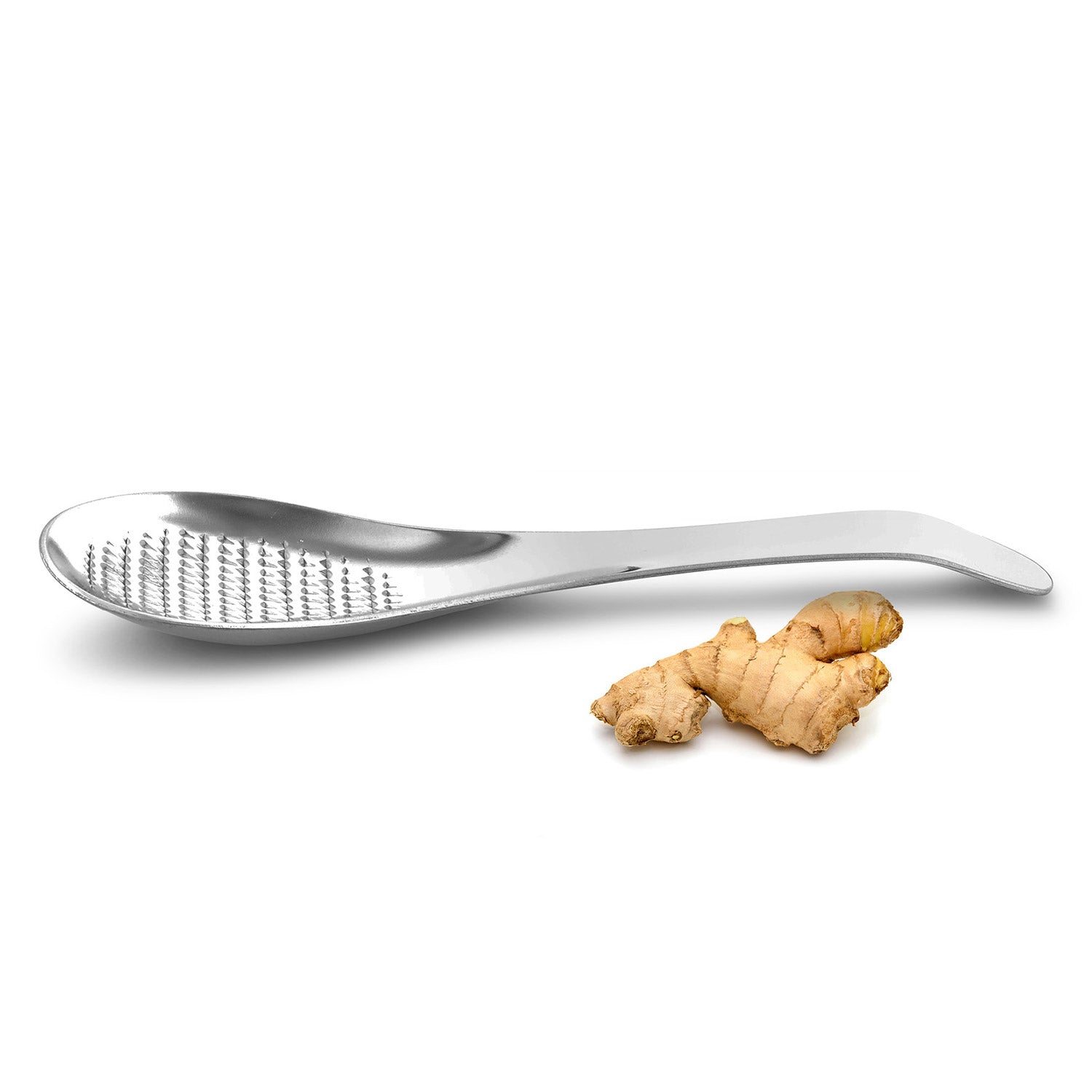 Die WEIS Ingwerreibe in Löffelform, ultrascharf und aus Edelstahl (17 cm), liegt neben einem frischen Ingwerstück auf weißem Hintergrund.