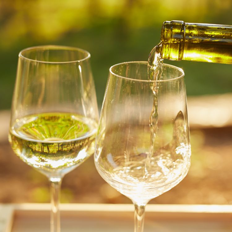 Wein & Prosecco